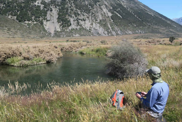 Stunning Fishing Area NZ