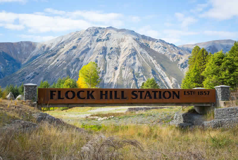 Flock Hill Station NZ