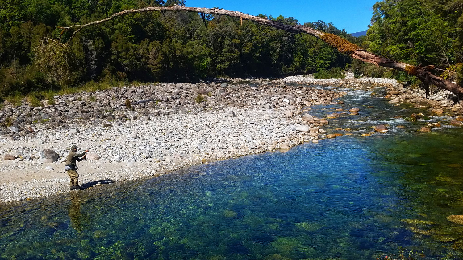 Book Fishing Guide with New Zealand Fly Fishing Escapes